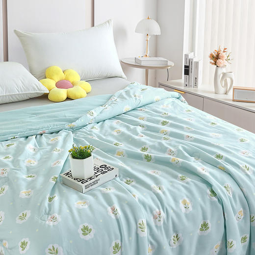 【洁丽雅】 浅陌花溪润肤被 JLY-CB921 商品图4