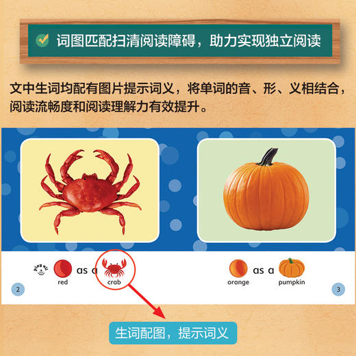 丽声英语高频词读物 商品图5