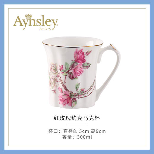 英国Aynsley安斯丽约克马克杯英式家用水杯骨瓷杯办公室喝水杯子 商品图0