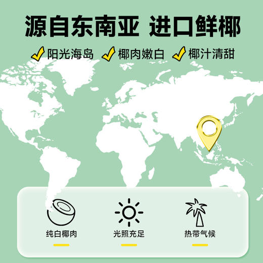 轻上0糖生椰椰汁椰奶生椰植物蛋白饮料220ml 商品图4