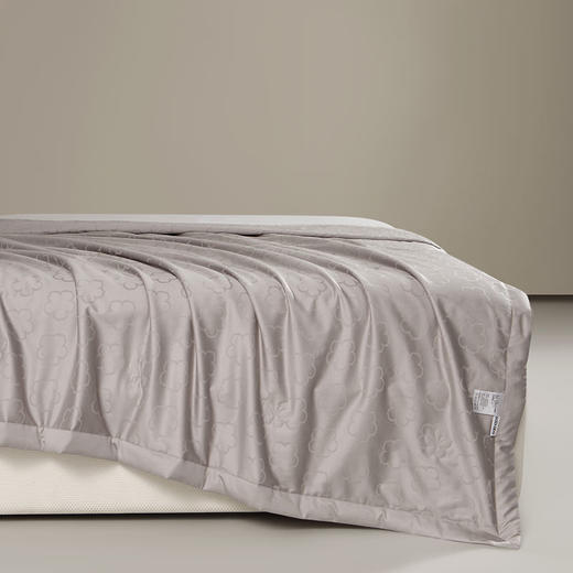 KXW-027 KENZO提花桑蚕丝纤维夏被 商品图5