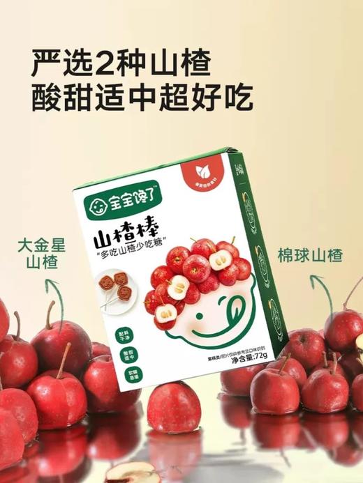 宝宝馋了山楂棒棒糖儿童零食无添加蓝莓桑葚蔓越婴儿幼儿辅食零食BCL-532087/BCL-532988/BCL-533329 商品图1