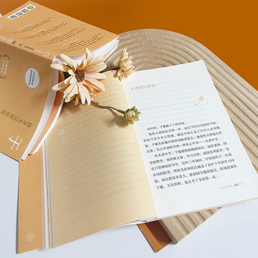 于敏：隐身为国铸核盾“共和国勋章”获得者的故事 商品图5