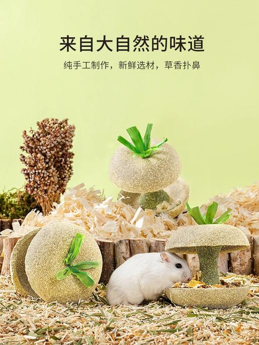 卡诺小宠零食系列 商品图0