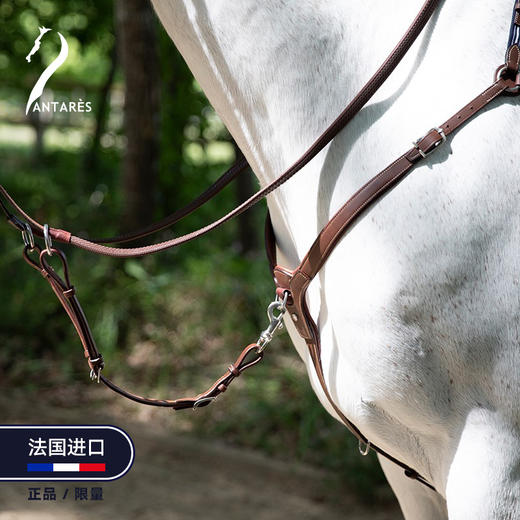 Antares法国进口马匹低头革前胸带马匹用品马术装备 商品图3