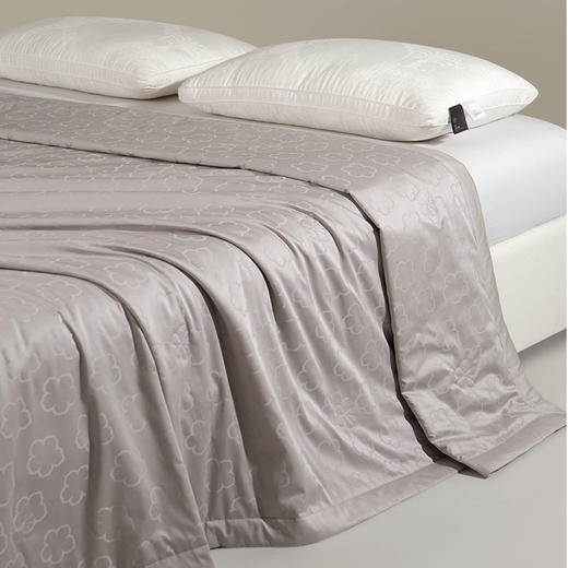 KXW-027 KENZO提花桑蚕丝纤维夏被 商品图2