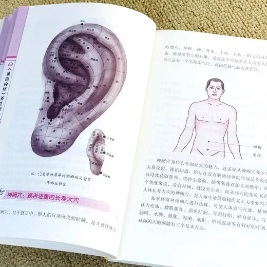 【全3册】《黄帝内经》养生经 赠本草纲目+千金方 实用以图释文 商品图3