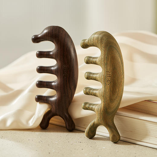 初心| 檀木海豚按摩梳经络梳 商品图1