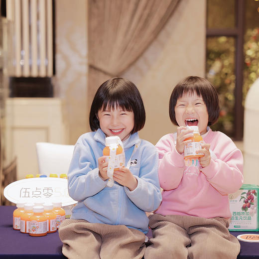 【益生菌发酵胡萝卜汁 】健康营养 益生菌发酵技术 获国家科学技术进步奖 商品图1