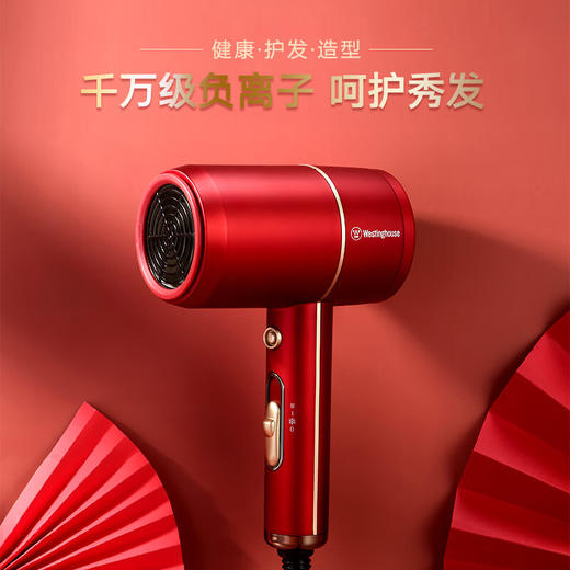 【小家电】西屋吹风机家用吹风筒低噪速干大功率风力负离子护发电吹风H101 HF 商品图0