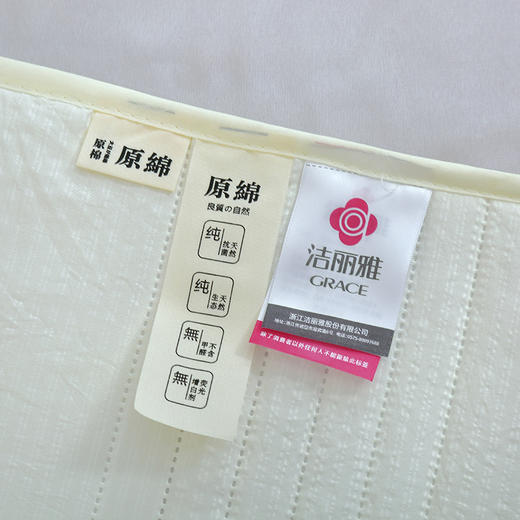 【洁丽雅】 A类原棉防螨被 JLY-CB933 200*230cm 商品图4