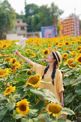 盛夏，愿所有美好如约而至