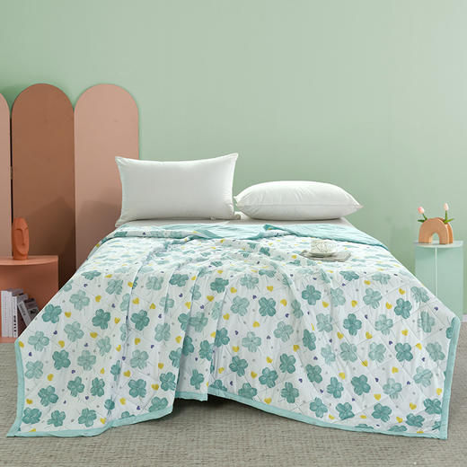 【洁丽雅】 春娇水洗被 JLY-CB922 150*200cm 商品图0