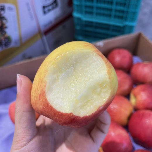新西兰神仙苹果 商品图2