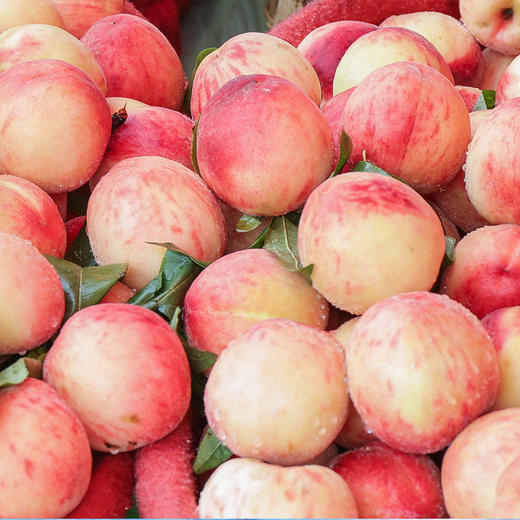 【陕西西安】陕西露天水蜜桃新鲜采摘应季水果 商品图4