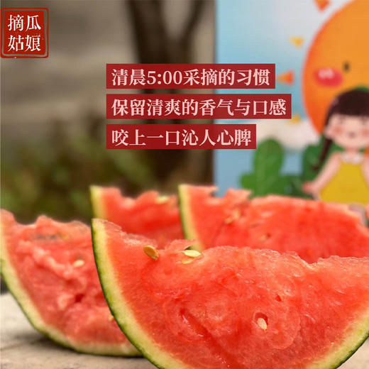 【分仓直发包邮】庞各庄西瓜5.5-6斤/11-12斤 商品图1