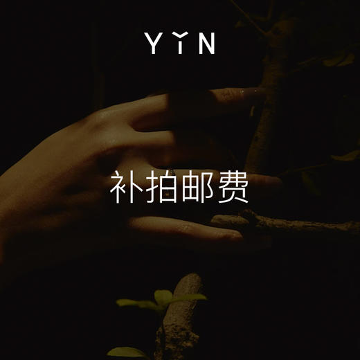 YIN隐 邮费补拍 100元 商品图0