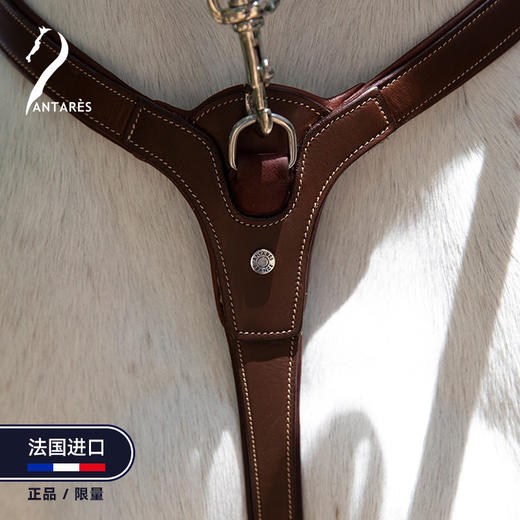Antares法国进口马匹低头革前胸带马匹用品马术装备 商品图2