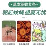 【古法制作，天然手工驱蚊艾条】驱赶文英盛夏无忧熏香艾条家用，选用南阳艾草艾烟清盒不浑浊，手工艾草条防叮咬艾灸艾草熏灸艾条艾柱QQ 商品缩略图2