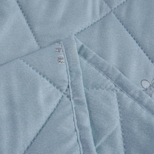 【洁丽雅】 花之恋亲肤被 JLY-CB931 150*200cm 商品图3