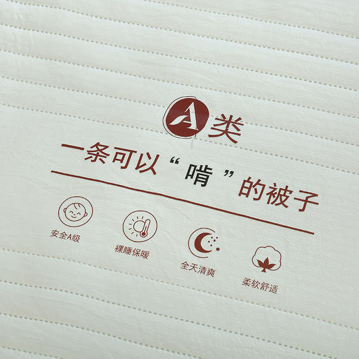 【洁丽雅】 A类原棉防螨被 JLY-CB933 200*230cm 商品图3