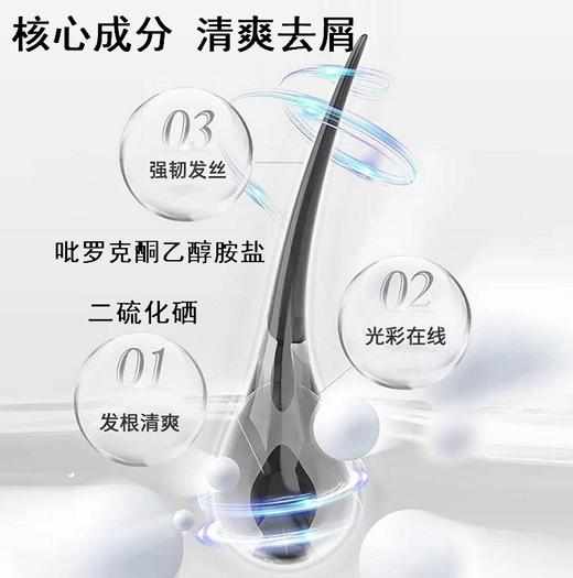 RIUE净满去屑洗发水 商品图2