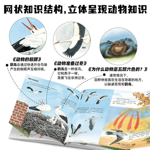 生命的故事（手绘版）（共10册）科普绘本昆虫昆虫世界 商品图8