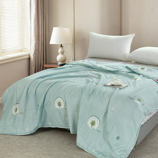 【洁丽雅】卿卿艾草被200*230 商品图1