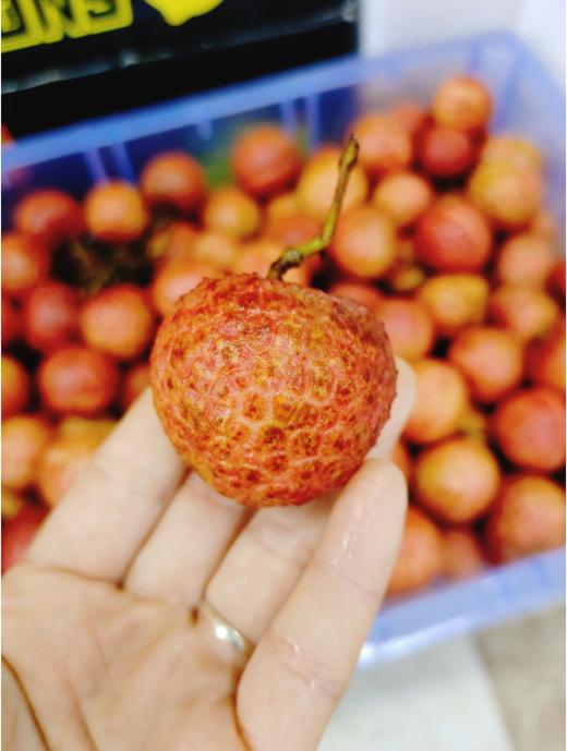 越南红荔枝一箱 商品图1