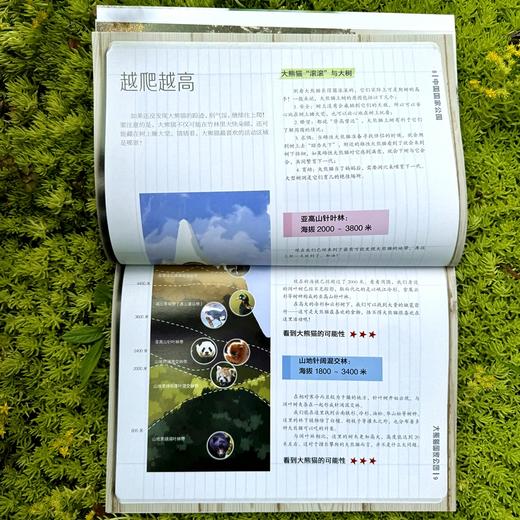 中国国家公园 大熊猫国家公园 商品图2