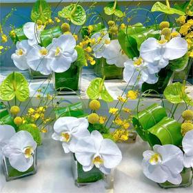 白绿色系方缸桌花