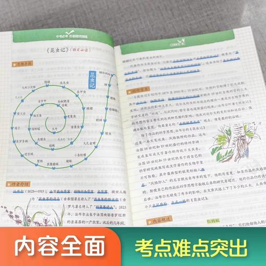 2023新版 中考必考名著精讲细练人教版 七年级八年级上册名著导读 商品图1