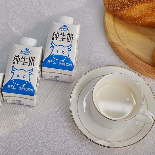 【自营】神气水牛纯牛奶旋盖装200ml*10盒 商品图2