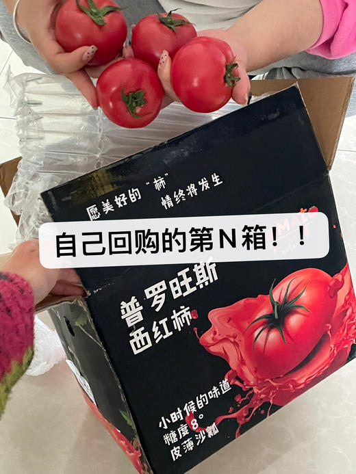 普罗旺斯4.5斤以上（h锁 商品图0