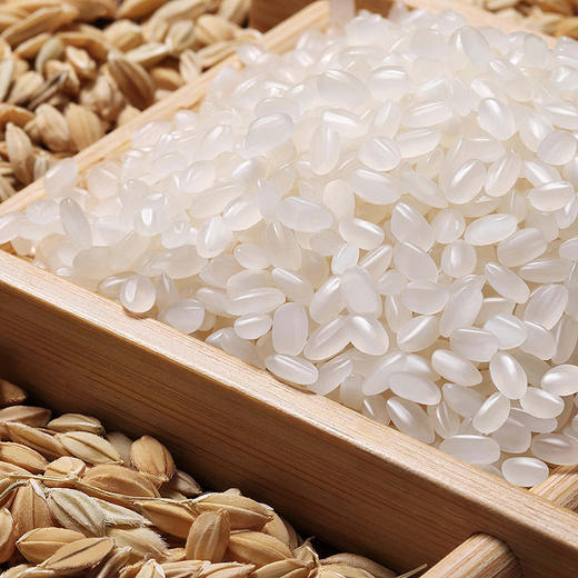 中粮皇家粮仓金橄榄珍珠米5KG 商品图1