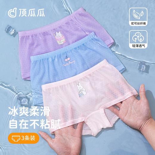 3部顶瓜瓜女童蛋糕兔网眼平角内裤3条装DTZWNK-AT6807 商品图0