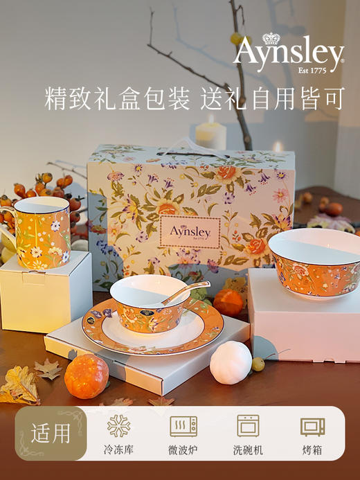 【样品特惠6折无原包装，仅1套，无货退款】英国Aynsley安斯丽小屋花园骨瓷家用饭碗面碗一人食碗盘餐具套装 商品图2