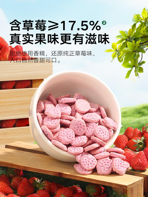 宝宝馋了儿童小零食无添加磨牙饼干BCL-532148/BCL-533985/BCL-534326 商品图5