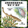生命的故事（手绘版）（共10册）科普绘本昆虫昆虫世界 商品缩略图6