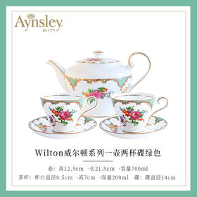 英国Aynsley安斯丽威尔顿欧式骨瓷小众咖啡杯套装下午茶茶具礼盒
