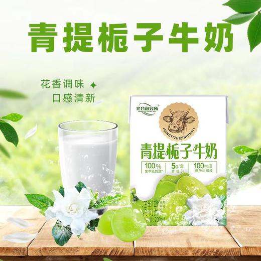 光合颜究所果汁纯牛奶系列200ml*12/箱【FY】 商品图1