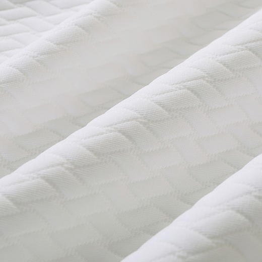 6F堂皇 纯臻护颈天然乳胶枕 商品图3