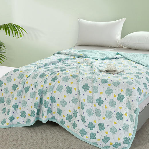 【洁丽雅】 春娇水洗被 JLY-CB922 150*200cm 商品图1