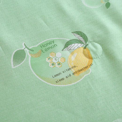 【 洁丽雅】 柠檬维C美肤被 JLY-CB925 180*200cm 商品图2