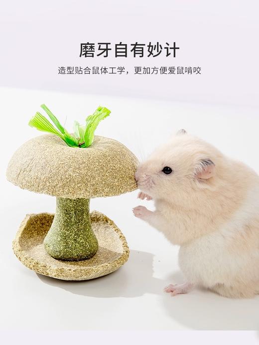 卡诺小宠零食系列 商品图1