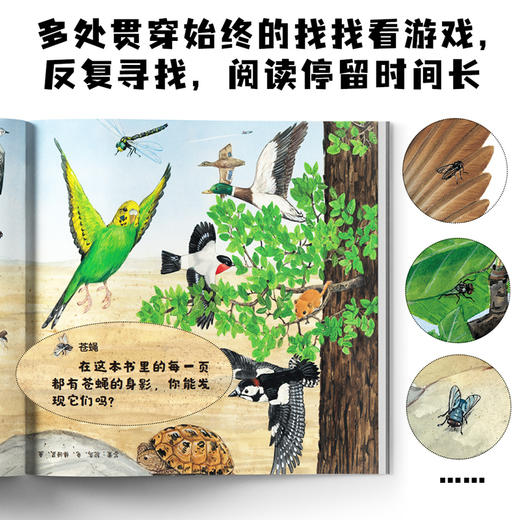 生命的故事（手绘版）（共10册）科普绘本昆虫昆虫世界 商品图9