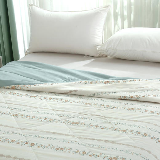 洁丽雅 蔷薇花蔓美肤被 JLY-CB923 200*230cm 商品图2