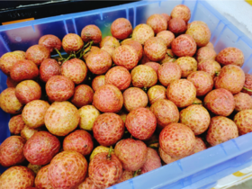 越南红荔枝一箱