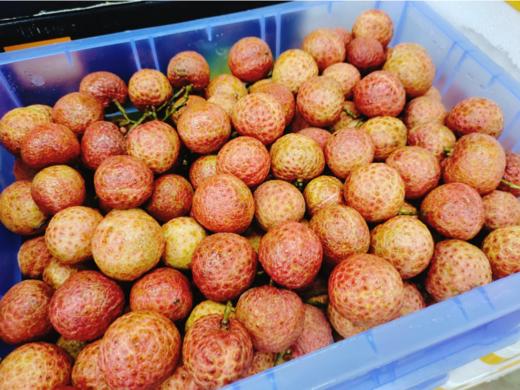 越南红荔枝一箱 商品图0