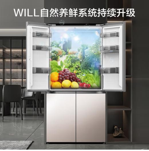 容声（Ronshen）（202816）WILL养鲜平嵌系列560升十字对开四开门超薄嵌入式冰箱家用一级变频底部散热BCD-560WKK1FPGZA 商品图0